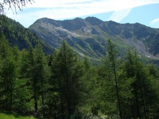  il Barbeston dalla alpe Toule