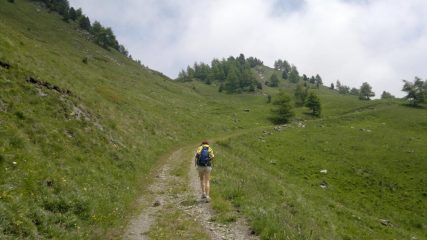 quasi arrivati