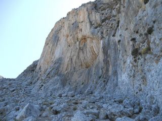 il settore alla mattina