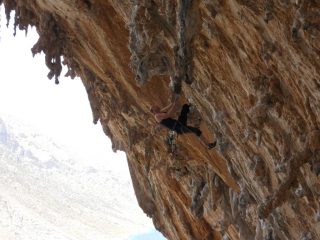 quell'acciaiatodi gil su priapos