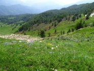Verso il bosco delle Navette