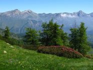 Balcone fiorito sulle Liguri