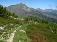 Troneggia il Bertrand sulla Colla Rossa