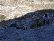 dalla sosta del settore easy slab