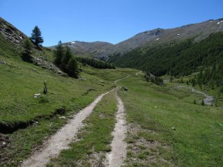Verdissima Valfredda