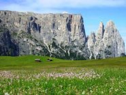 la meta è ben visibile dalla partenza
