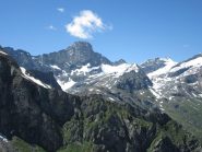 panorama sulla Bessanese