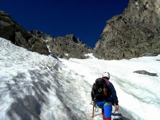 poco sopra l'attacco