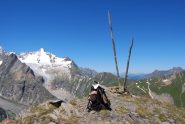 La vetta, con sullo sfondo il Col du Grand Ferret e il Mt. Dolent