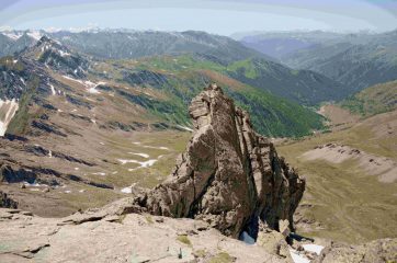 Profilo del passo del cavallo
