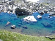 Che colori....