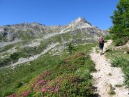 Il bellissimo vallone per il Rifugio Avanzà