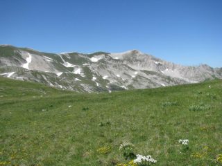 Cima delle Malecoste dalla Sella dei Grilli