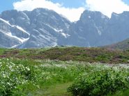 arrivando al Garelli