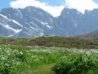 arrivando al Garelli