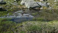 riflessi 