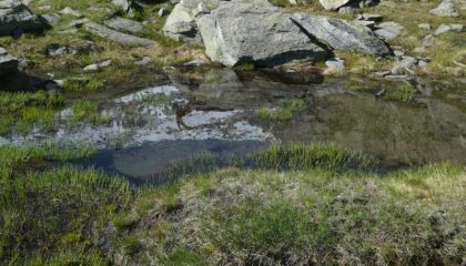 riflessi 
