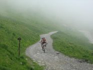 verso il Tanarello