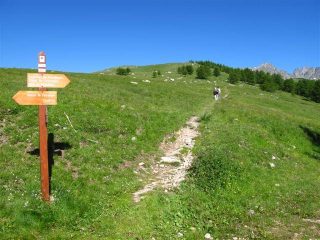 Palina alla partenza