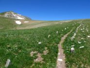 Il bel tracciato del sentiero prima del Colle Est del Sabbione