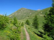 Bassa e Cima di Barsenzana