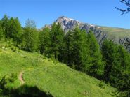 Sentierino che parte dalla bassa di Peirafica