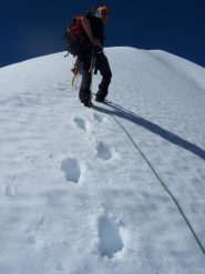 sono già cotto, ma la giornata sarà ancora lunga
