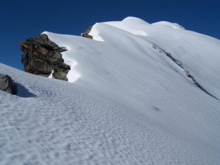 cresta meravigliosa