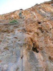  cap arvithis 6b+  bello tosto