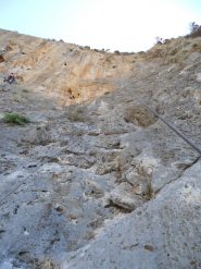 il bellissimo settore di joy in  the garden