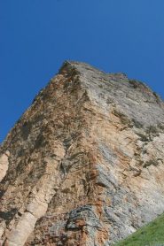 E' proprio una bella 