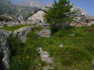 casa di caccia al vasinetto