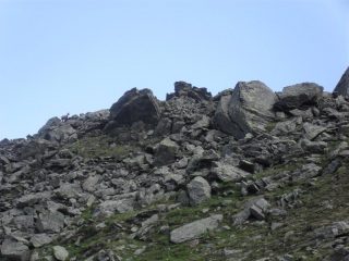 camoscio su pietraia...