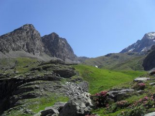 alpe Vaudalettaz inferiore...