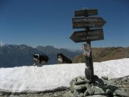 panorama dal colletto Robinet