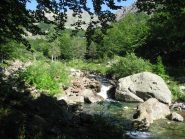 prima parte nel bel bosco