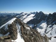La Testa di Valnontey dalla cresta della Testa della Tribolazione