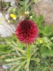 21 - ...e le forme...