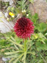 21 - ...e le forme...