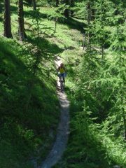 La discesa nel bike park