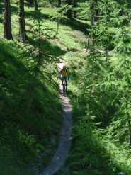 La discesa nel bike park