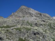 in prossimita' della punta