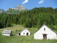 Alpeggi al ritorno