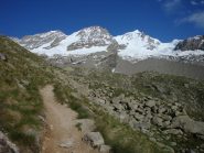 Vista di insieme della traversata: al centro nevoso il colle di Montandayné, il Piccolo Paradiso, Il Colle del Piccolo Paradiso e il Gran Paradiso.