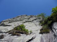 le belle placche superiori di Pao MAr