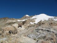 Vista della vetta dal bivacco