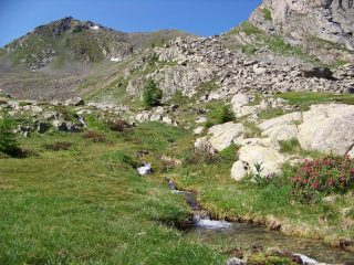 verso il colle del Ferro