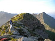 vetta Bersella + Verzel 