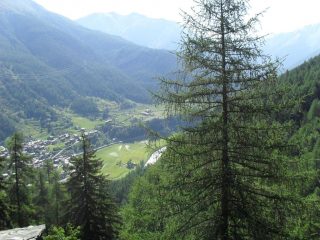 poco dopo la partenza...