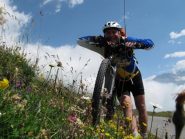 Elio e i fiori